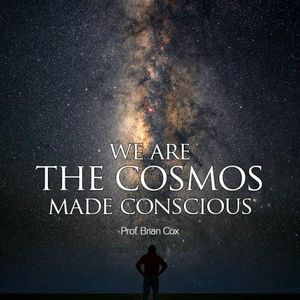 Meet your Posher, Danika